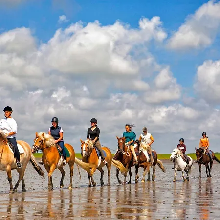 Gud Jard Nr 05 - Design-ferienhaus Mit Exklusiver Ausstattung Pellworm